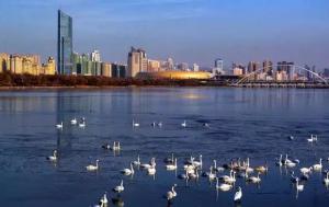 三門峽又一網(wǎng)紅景點(diǎn)，確定不來pick一下？